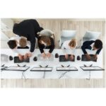 Kensington K70992WW Orbit fekete vezeték nélküli görgető gyűrűs hanyattegér - Image 8