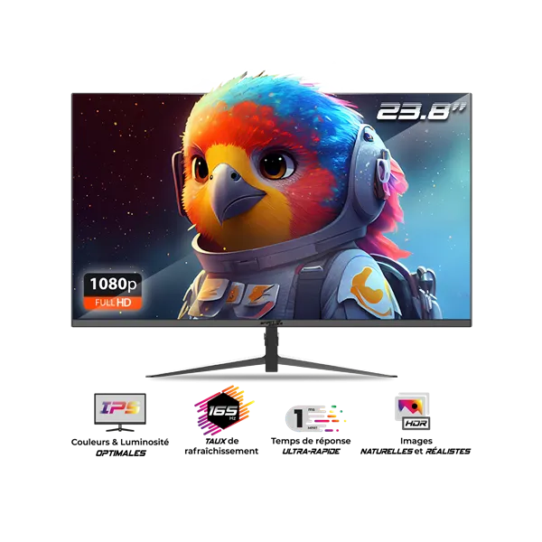 Spirit of Gamer 24" EPIC FHD IPS 165Hz HDMI/DP gamer monitor