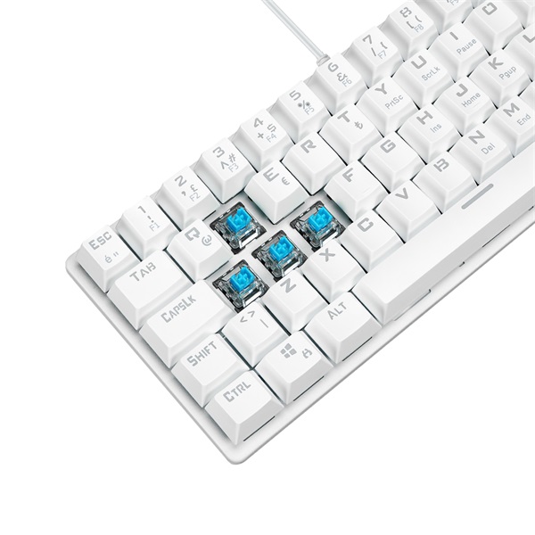 Rampage Billentyűzet - PLOWER K60 White US (Vezetékes, Mechanikus, Blue switch, angol, fehér, RGB LED) - Image 6
