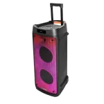 BLAUPUNKT PB08DB Bluetooth party hangszóró, RMS, TWS, FM,AUX, 2 mikrofon, 700W, Fekete (RTVBLAS018) - Image 2