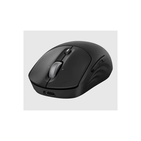 HP vezeték nélküli egér Rechargeable 700 - fekete