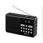 SANDBERG Speaker Radio FM + BT recharge, MP3 playable from USB or TF-Card, Super Small, 5 év garancia