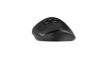 Gembird MUSW3-9B-01 Triple-Mode Wireless Bluetooth Mouse Black - Image 6