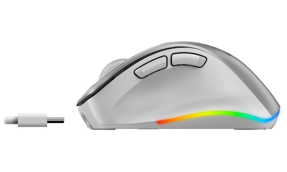 Genius Ergo 9000S Pro Wireless mouse Silver - Image 5