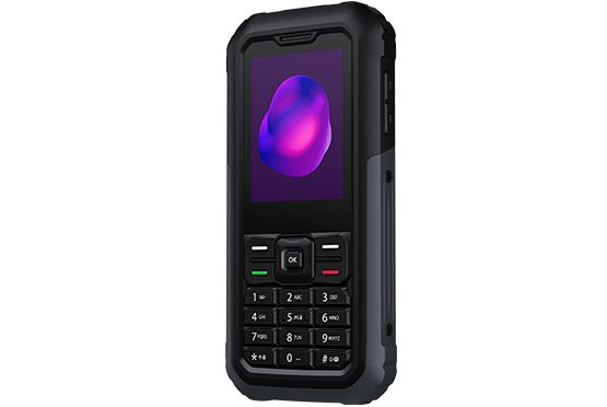 TCL 3189D DualSIM Grey - Image 2