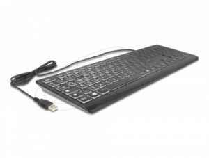 DeLock USB Keyboard wired 1.5m with XXL Letters and Illumination Black DE