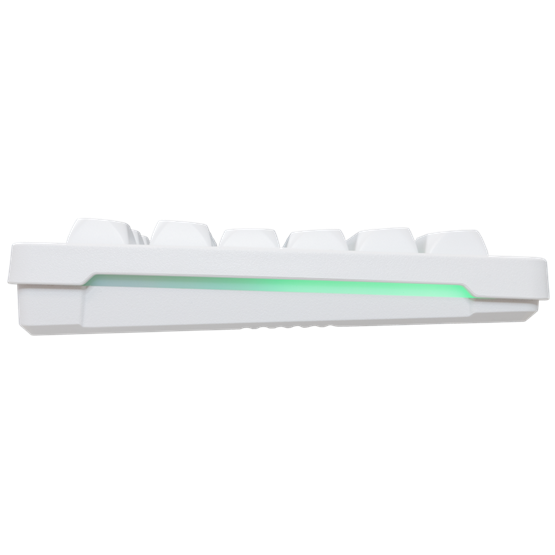 BILL_Baracuda_BGC-011W_ORCA_-_Billentyuzet_eger_gamer_csomag_-_Feher_-_US-i740447.png BILL Baracuda BGC-011W ORCA - Billentyűzet, egér gamer csomag - Fehér - US - Image 4