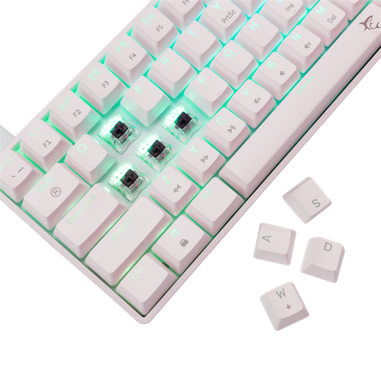 BILL_White_Shark_GK-004231WBR-US_SHINOBI-2_vezetekes_mechanikus_gamer_billentyuzet_-_feher_-_US-i752064.png BILL White Shark GK-004231W/BR-US SHINOBI-2 vezetékes mechanikus gamer billentyűzet - fehér - US - Image 3